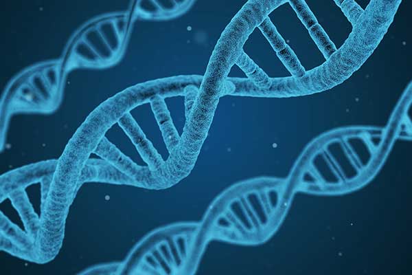 Which Real Estate Role Fits Your DNA?
